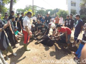 GOPR0889_1443067272897_low