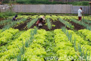 Foto karya Winona Retni
